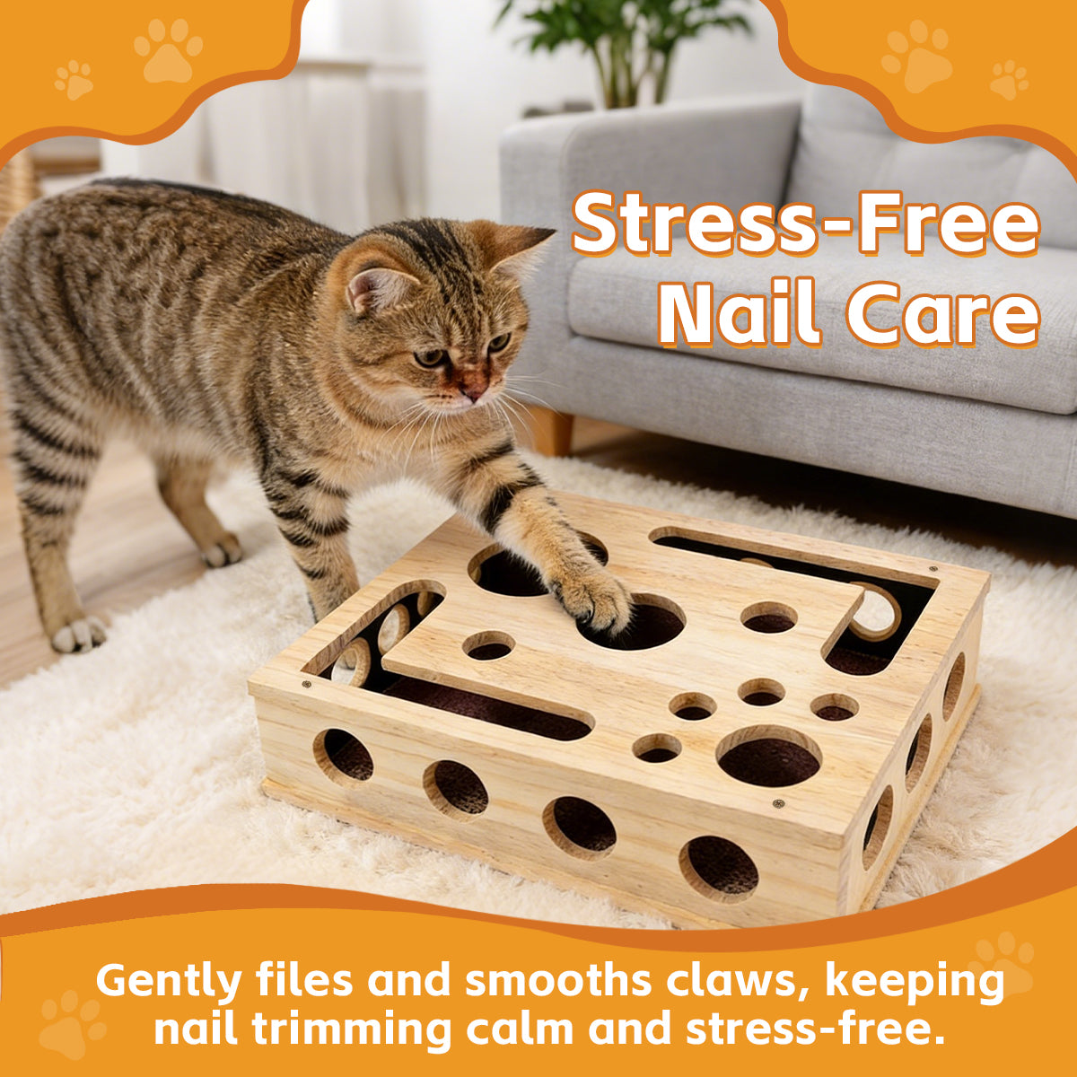 Cat Scratch Puzzle Enrichment Box