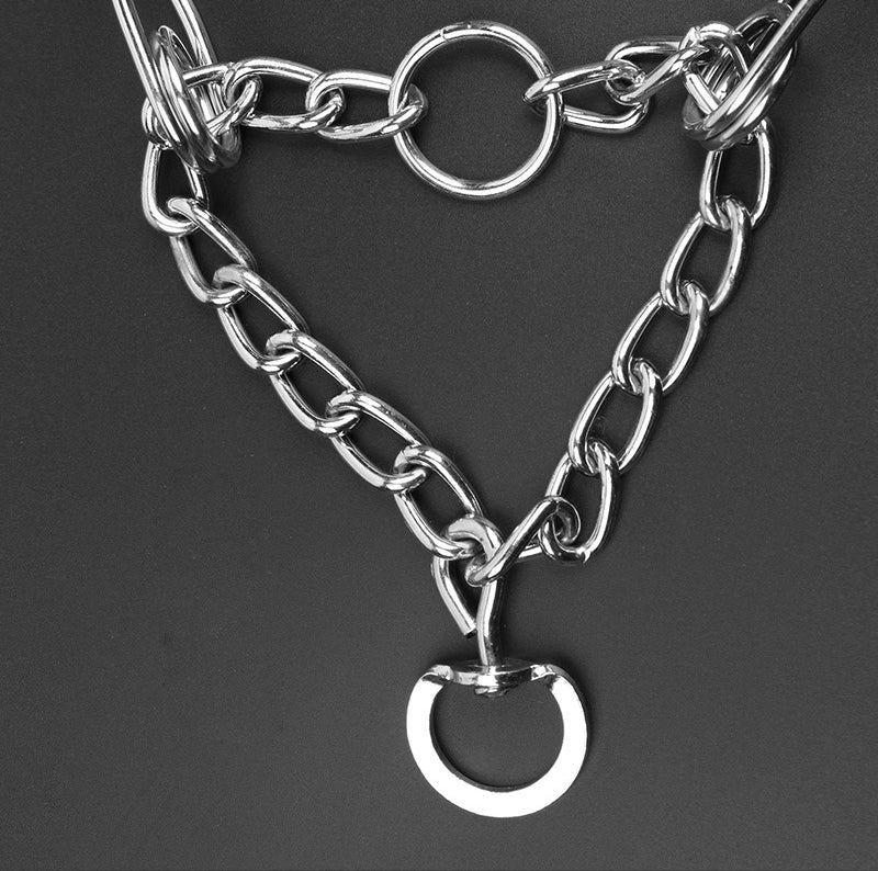 New Model Large Pet Collar