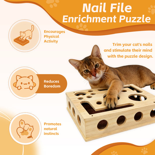 Cat Scratch Puzzle Enrichment Box
