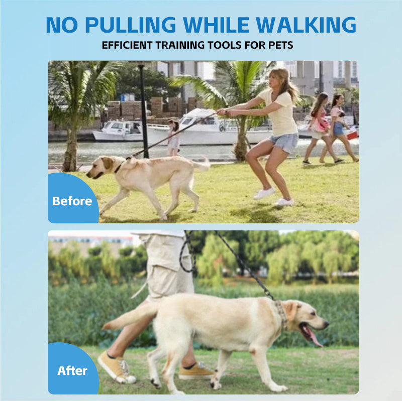 New Model Large Pet Collar