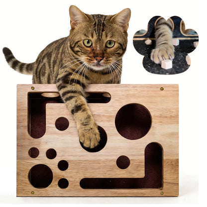 Cat Scratch Puzzle Enrichment Box