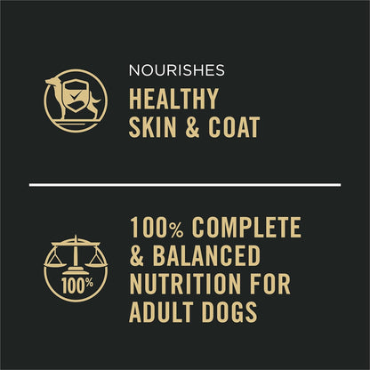 Plan Complete Essentials Classic Pate Dog Food, Chicken and Rice Entrée - (Pack of 12) 13 oz. Cans