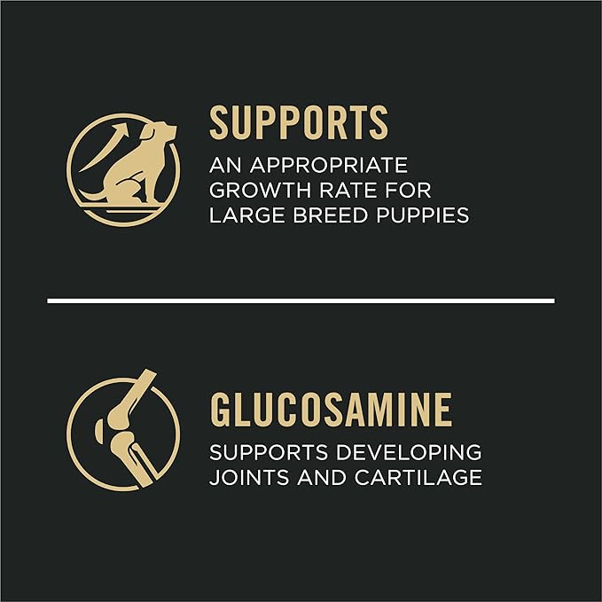 Plan Large Breed Dry Puppy Food, Chicken and Rice Formula - 47 lb. Bag