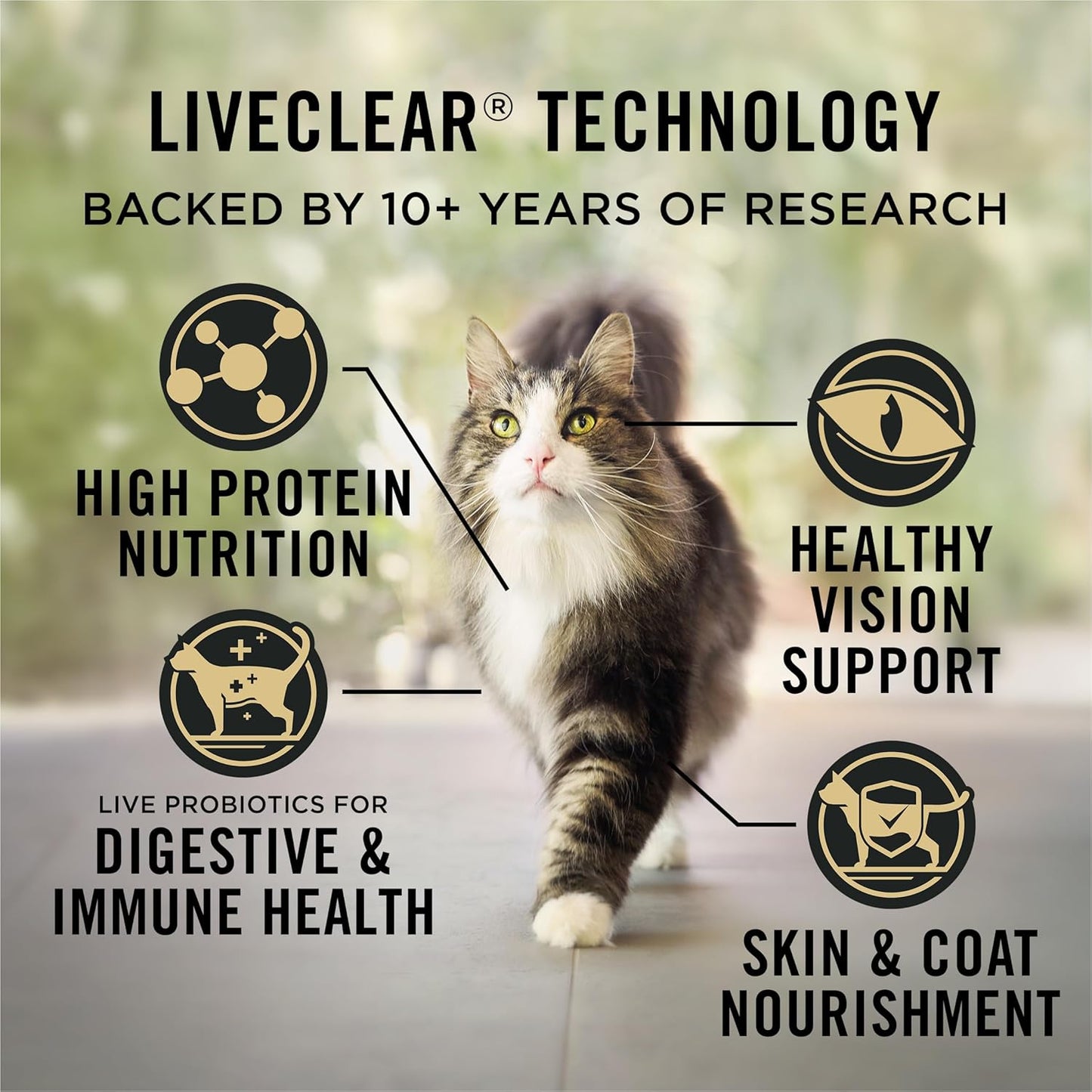 Plan Allergen Reducing, High Protein Cat Food, LIVECLEAR Chicken and Rice Formula