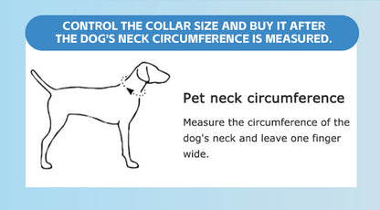 New Model Large Pet Collar