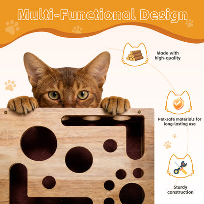 Cat Scratch Puzzle Enrichment Box