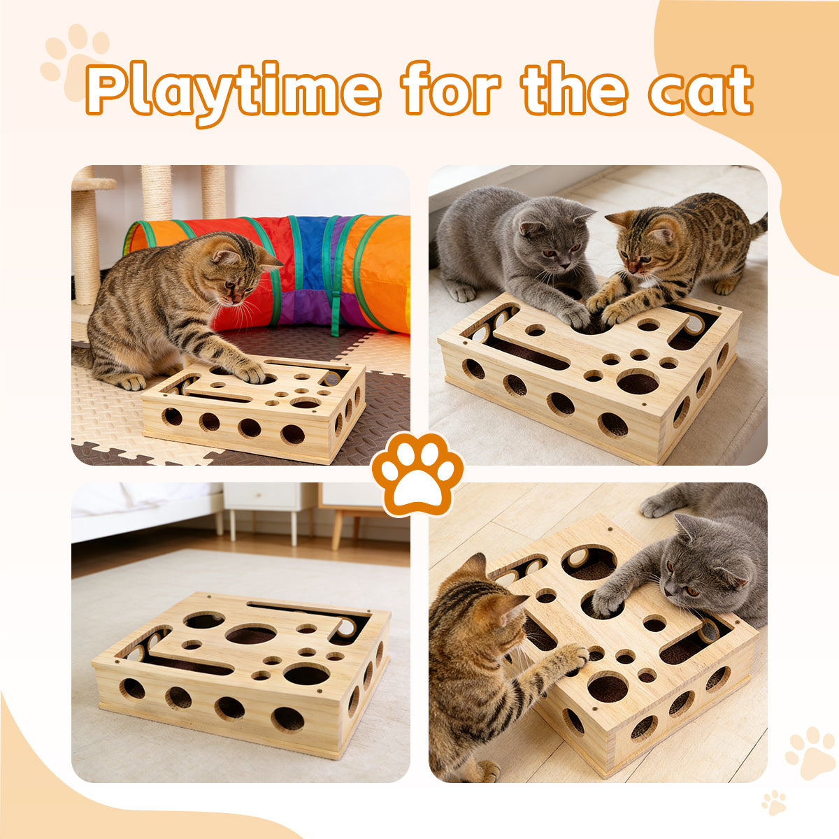 Cat Scratch Puzzle Enrichment Box