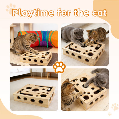 Cat Scratch Puzzle Enrichment Box