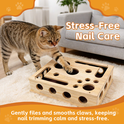 Cat Scratch Puzzle Enrichment Box
