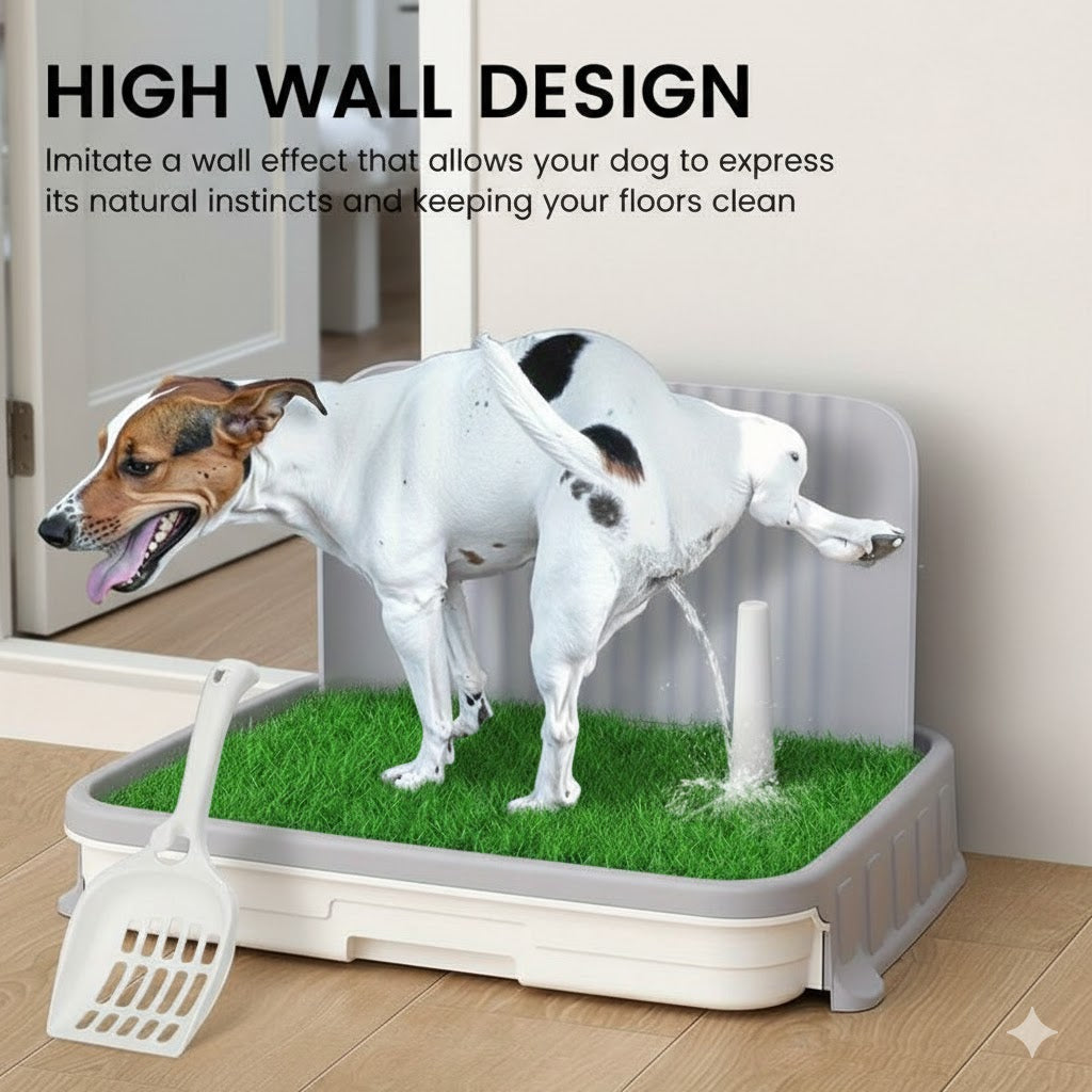 dog potty
